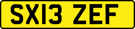 SX13ZEF