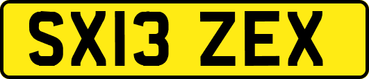 SX13ZEX