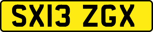 SX13ZGX