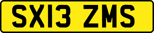 SX13ZMS