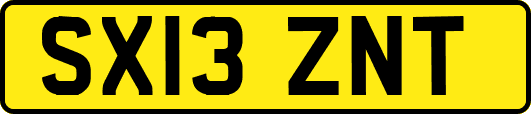 SX13ZNT