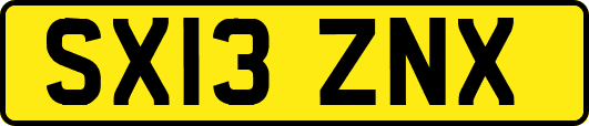 SX13ZNX