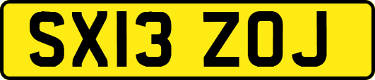 SX13ZOJ