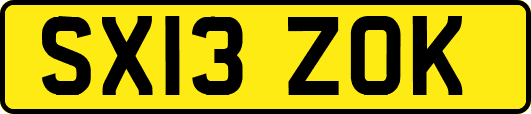 SX13ZOK