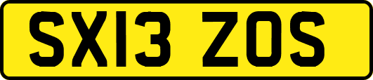 SX13ZOS