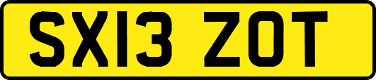SX13ZOT