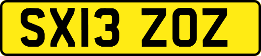SX13ZOZ