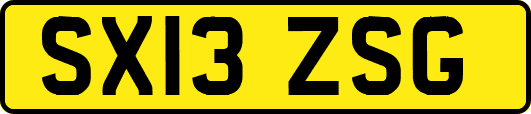SX13ZSG