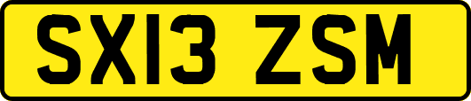 SX13ZSM