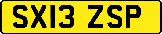 SX13ZSP