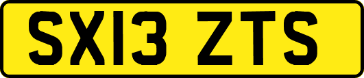SX13ZTS