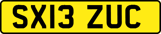 SX13ZUC