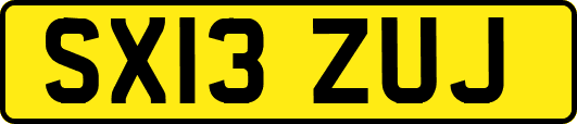 SX13ZUJ