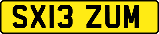 SX13ZUM