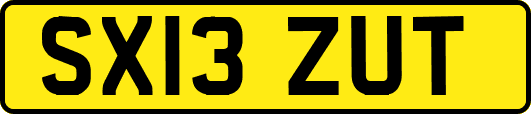 SX13ZUT