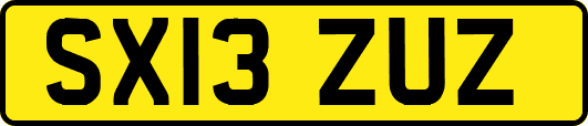 SX13ZUZ