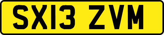 SX13ZVM