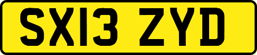 SX13ZYD