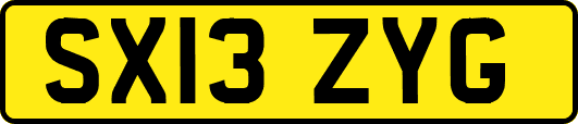 SX13ZYG