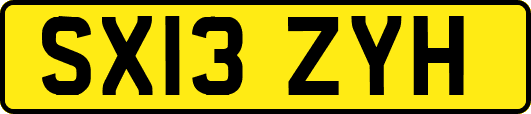 SX13ZYH