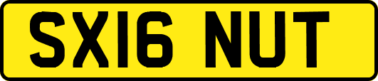 SX16NUT