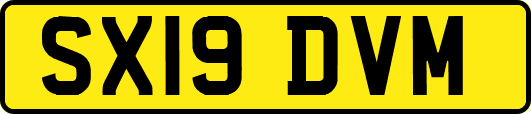 SX19DVM