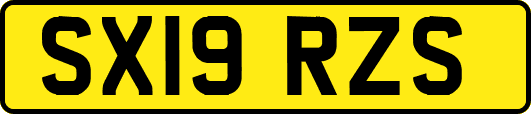SX19RZS