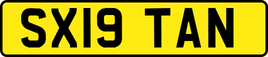 SX19TAN