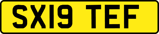 SX19TEF