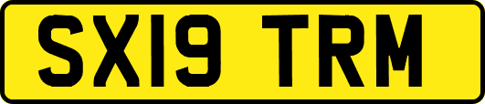 SX19TRM