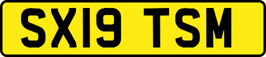 SX19TSM