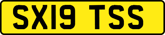 SX19TSS