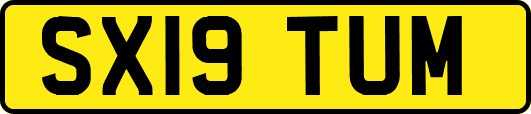 SX19TUM