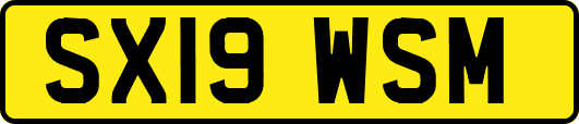 SX19WSM