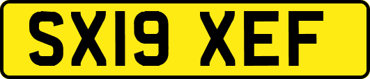 SX19XEF