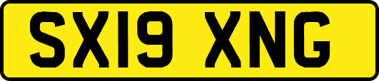 SX19XNG