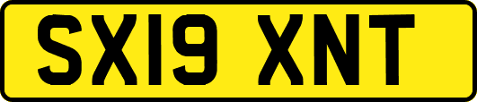 SX19XNT