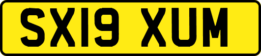 SX19XUM