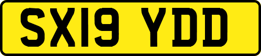 SX19YDD