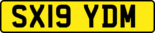 SX19YDM