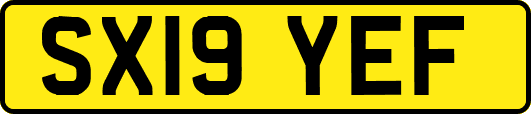 SX19YEF