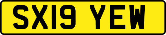 SX19YEW