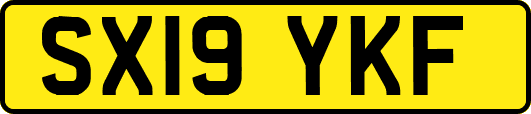 SX19YKF