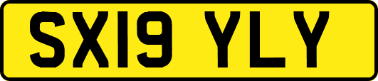 SX19YLY