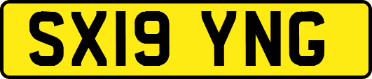 SX19YNG