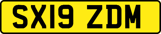 SX19ZDM