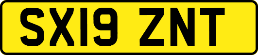 SX19ZNT