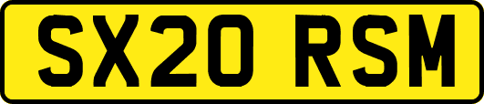SX20RSM