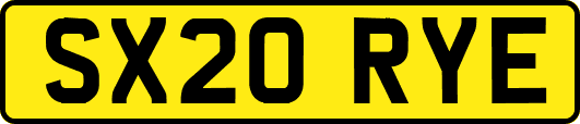 SX20RYE