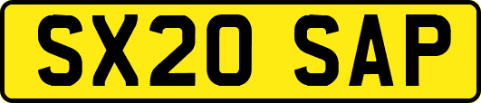 SX20SAP
